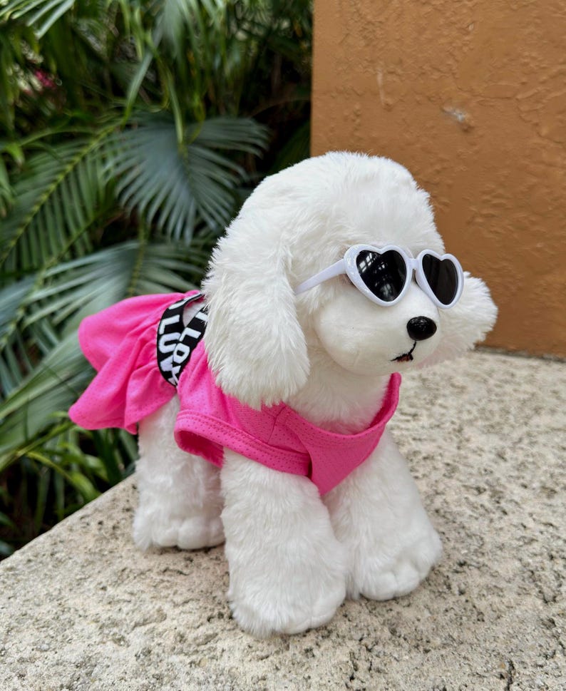 Dog Beach Dress with Heart Sunglasses: Pink LOVE Outfit