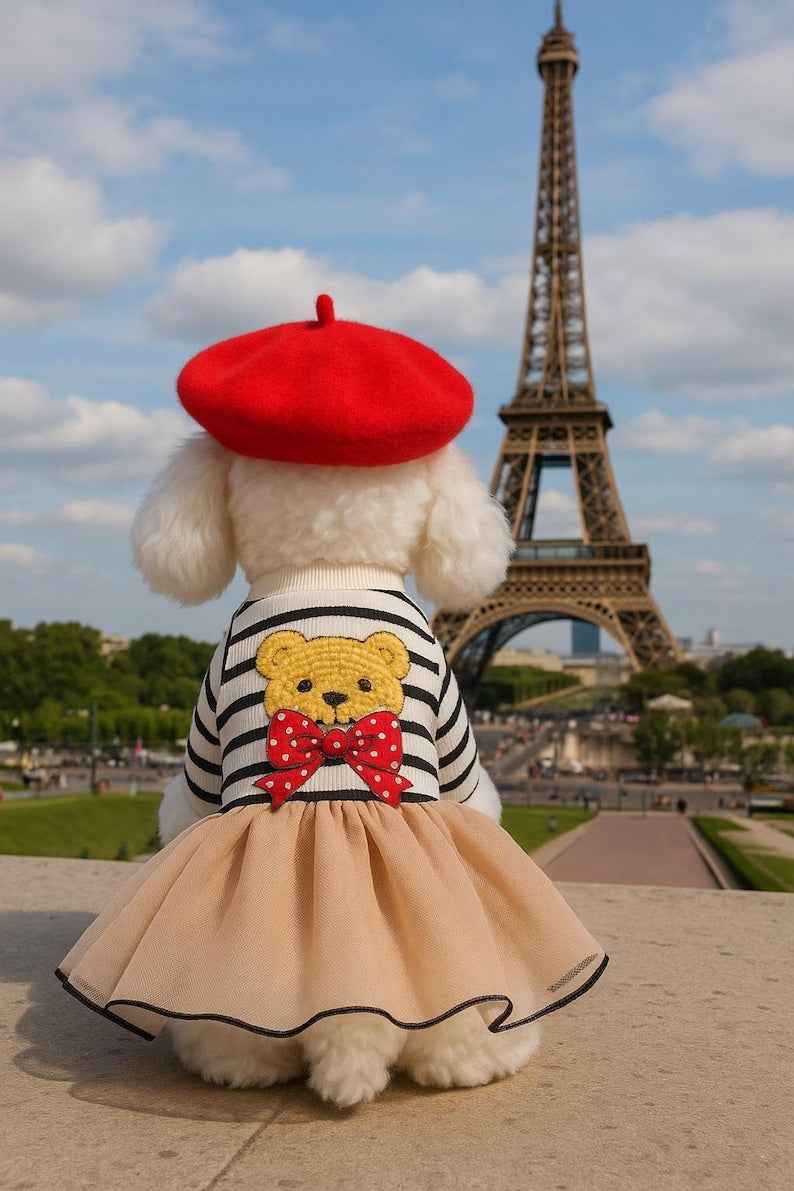 Luxury Dog Dress with Red Beret – Parisian Style Bear Print Outfit for Small Dogs | Yorkie, Poodle, Chihuahua Pet Clothes