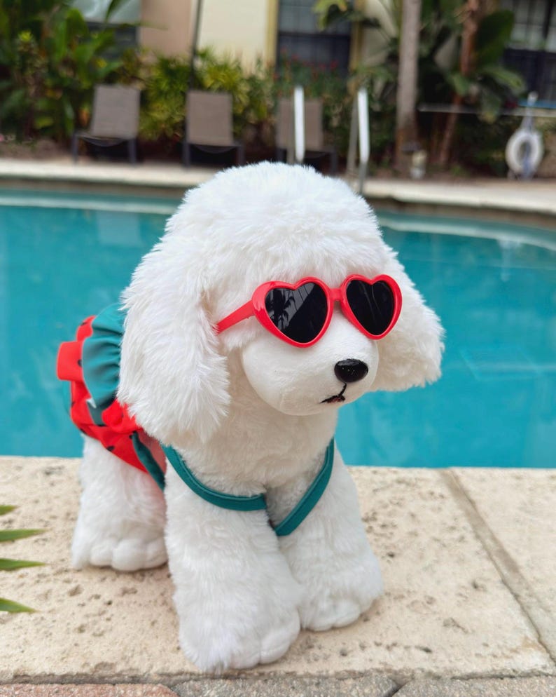 Watermelon Dog Swimsuit Dress with Sunglasses: Summer Pool Party Outfit