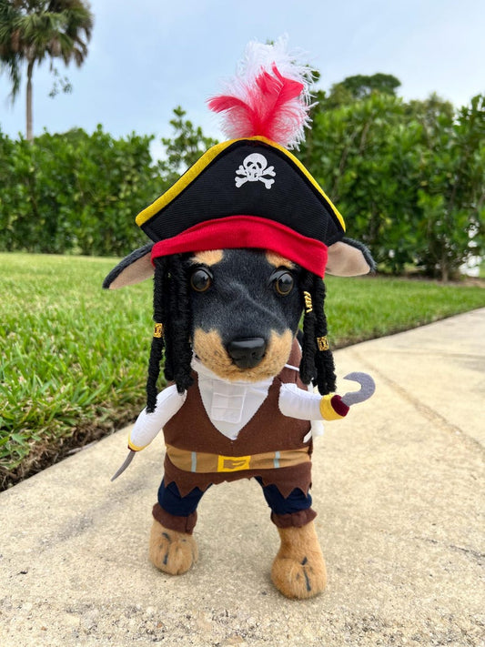 Dress up Your Pup as a Swashbuckling Pirate for Halloween Fun! pet costume, dog Halloween dress, dog Halloween costume, pirate dog costume