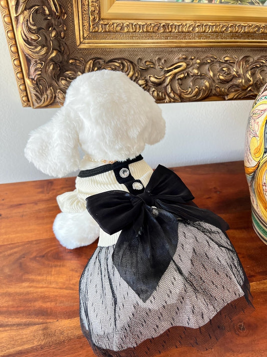 Stylish Pet Ensemble: Dress, Necklace, Cat Dress - Designer Pet Fashion, dog clothes, cat dress, dog dress, pet clothing, pet dress