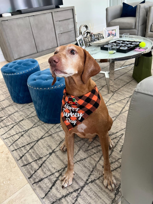 Unique Handmade Thanksgiving Bandana with Special Add-On, thanksgiving pet outfit, bandanna for Dog, bandanna for cat, thanksgiving bandanna
