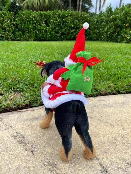 Cheerful Holiday Pet Costume: Santa Claus Cape & Reindeer Horns, Dress for pets, small dog clothes, Christmas dress for dog, Christmas dog