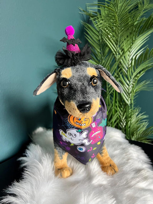 Festive Halloween Bandana & Hat, magic had, pet had for cats and small dogs, pumpkin elegant Halloween pet head, custom pet gift, bandanna