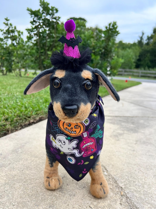 Trick-or-Treat Pet Costume Pair, magic had, pet had for cats and small dogs, pumpkin elegant Halloween pet head, custom pet gift, bandanna