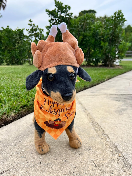 Turkey Hat and Bandana Set - Thanksgiving Pet Outfit, thanksgiving turkey dog hat, American holiday Dog hat, bandanna for Dog, cat hat