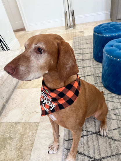 Unique Handmade Thanksgiving Bandana with Special Add-On, thanksgiving pet outfit, bandanna for Dog, bandanna for cat, thanksgiving bandanna