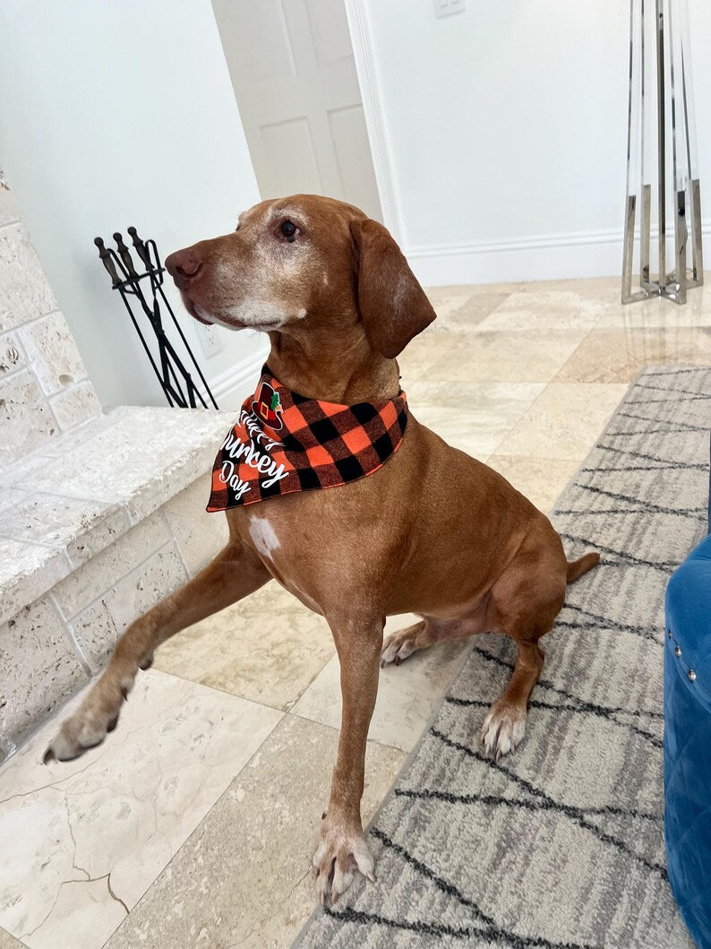 Unique Handmade Thanksgiving Bandana with Special Add-On, thanksgiving pet outfit, bandanna for Dog, bandanna for cat, thanksgiving bandanna