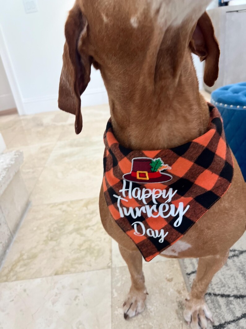 Unique Handmade Thanksgiving Bandana with Special Add-On, thanksgiving pet outfit, bandanna for Dog, bandanna for cat, thanksgiving bandanna