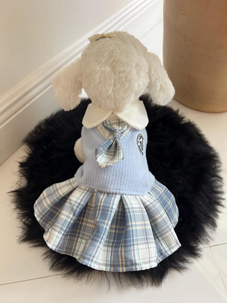 Cute Dog Dress in Schoolgirl Style with Glasses | Puppy Apparel, Dress for pets, small dog clothes, dog fashion, Cute dog costume cat outfit