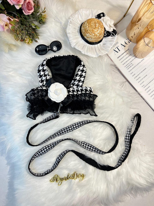 Chic Pet Harness Set with Stylish Hat & Glasses - Dog Fashion Accessories, dog cape, small dog outfit, dog costume party, Dog fashion