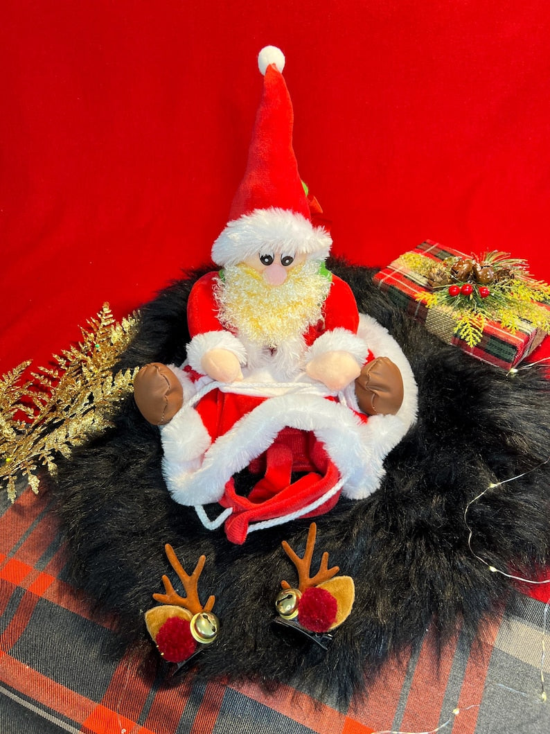 Festive Santa Cape and Reindeer Horns Dog Costume Set, Dress for pets, small dog clothes, Christmas dress for dog, Christmas dog outfit