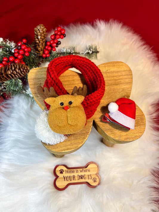 Festive Holiday Pet Scarf - Perfect for Christmas! Clip-On Hat Included, Santa Claus dog collar, Dog Christmas presents, Christmas dog cat