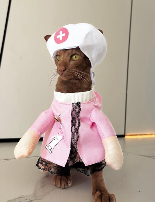 Chic Dog Doctor Costume for Halloween Fun, pet costume, dog Halloween dress, dog Halloween costume, pet cosplay outfit, dog doctor costume