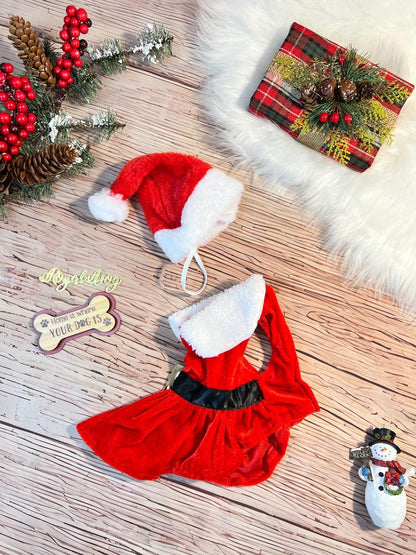 Festive Dog Dress with Santa Hat for Christmas, Dress for pets, Christmas dress for dog, Christmas dog outfit, cute dog costume, pet outfit