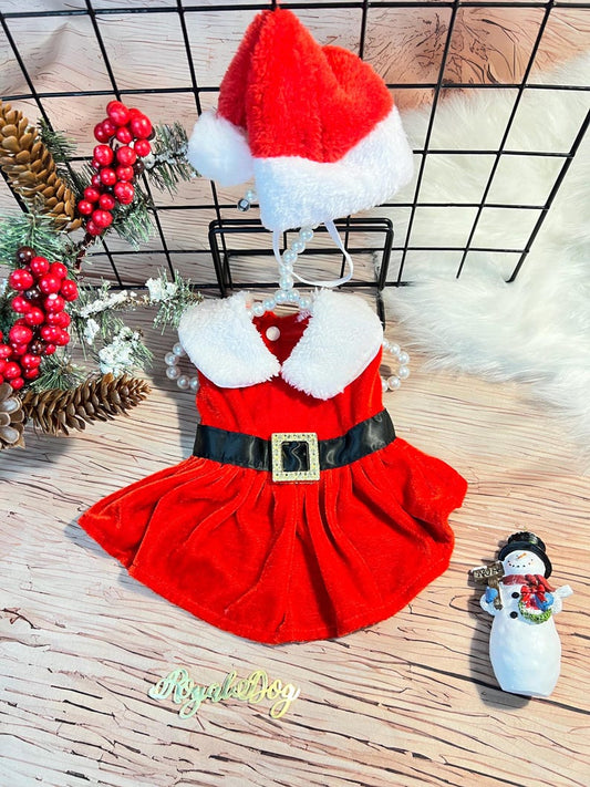 Adorable Santa Hat Dog Dress - Perfect for Holiday Photos! Dress for pets, Christmas dress for dog, Christmas dog outfit, cute dog costume