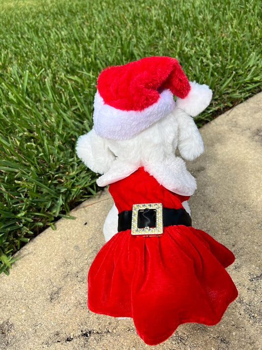 Charming Santa Hat Dog Dress for a Merry Christmas Look,Dress for pets, Christmas dress for dog, Christmas dog outfit, cute dog costume