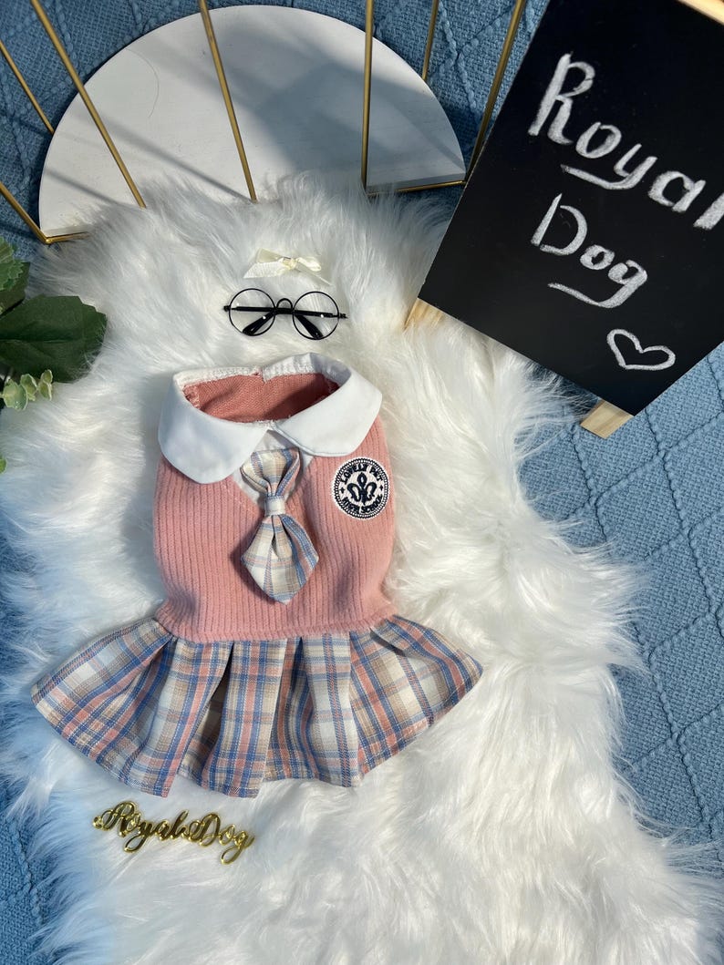 Adorable Pink Dog Dress & Glasses Set – Cute Schoolgirl Outfit for Small Dogs, Yorkie Clothes, Chihuahua Dress, Toy Poodle Clothing