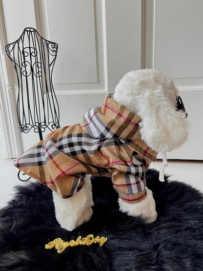 Trendy Canine Hooded Coat & Glasses in Beige - Fashion Forward Dog Apparel, classic dog trench coat, cat coat dog fashion wear, puppy outfit