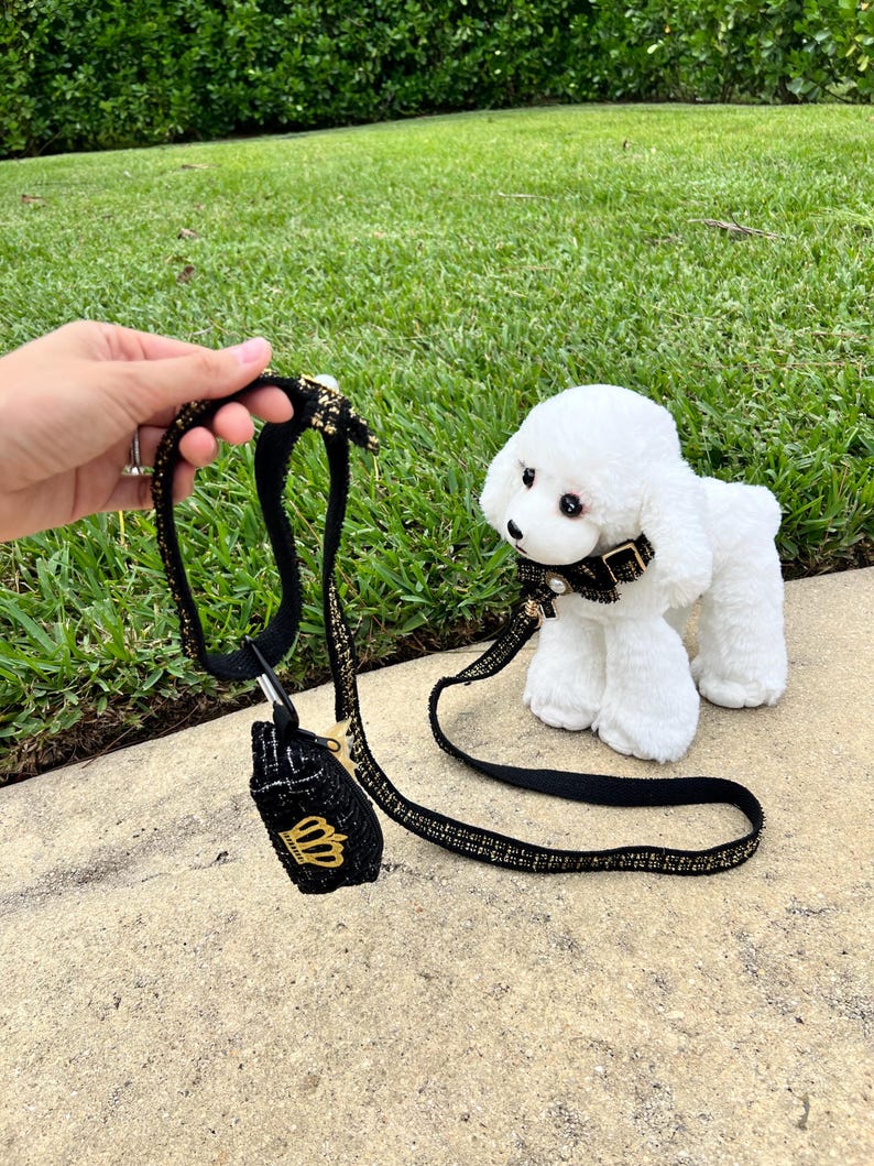 High-End Dog Walking Set: Fashionable Collar, Leash & Waste Dispenser , dog collar, cute dog collar, Girl Dog collar, male dog leash