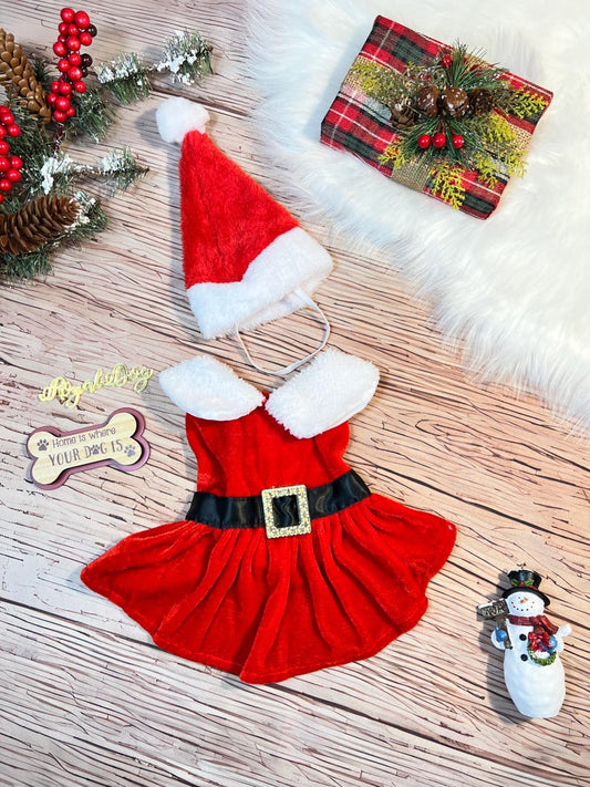 Festive Dog Dress with Santa Hat for Christmas, Dress for pets, Christmas dress for dog, Christmas dog outfit, cute dog costume, pet outfit