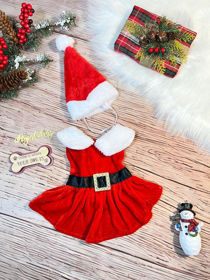 Adorable Santa Hat Dog Dress - Perfect for Holiday Photos! Dress for pets, Christmas dress for dog, Christmas dog outfit, cute dog costume