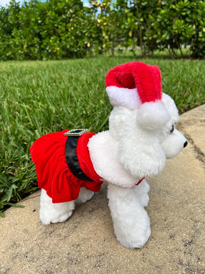 Charming Santa Hat Dog Dress for a Merry Christmas Look,Dress for pets, Christmas dress for dog, Christmas dog outfit, cute dog costume
