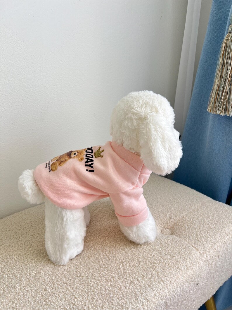 Pink Dog Sweatshirt with Cute Bear Print - Pet Apparel for Small Breeds, pet clothing, dog top, dog fashion, dog apparel, dog long sleeves