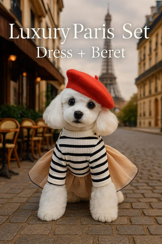 Luxury Dog Dress with Red Beret – Parisian Style Bear Print Outfit for Small Dogs | Yorkie, Poodle, Chihuahua Pet Clothes