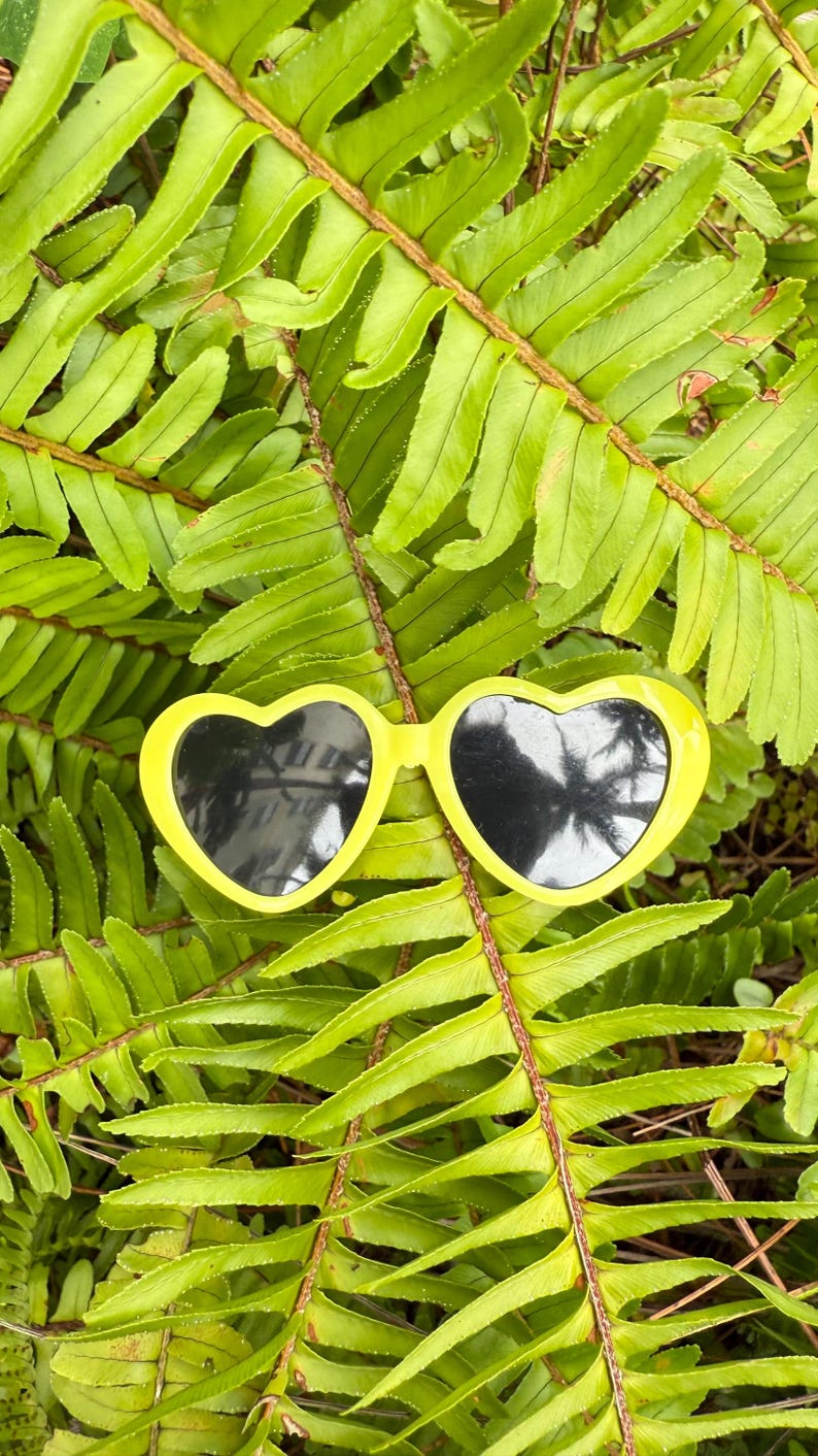 Pineapple Dog Dress with Heart Sunglasses: Summer Outfit Gift Set