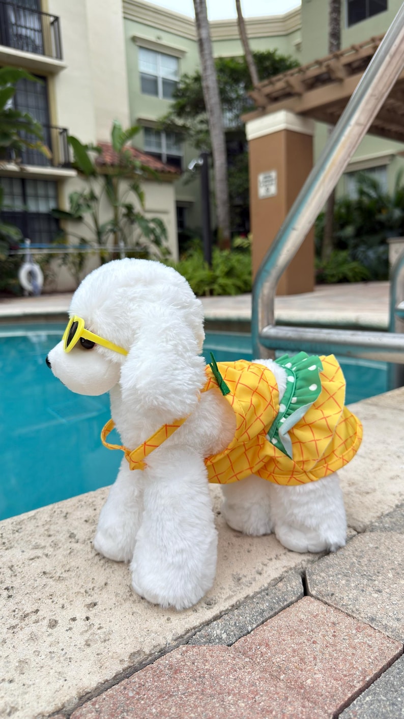 Pineapple Dog Dress with Heart Sunglasses: Summer Outfit Gift Set