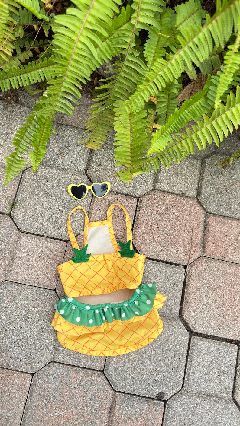 Pineapple Dog Dress with Heart Sunglasses: Summer Outfit Gift Set