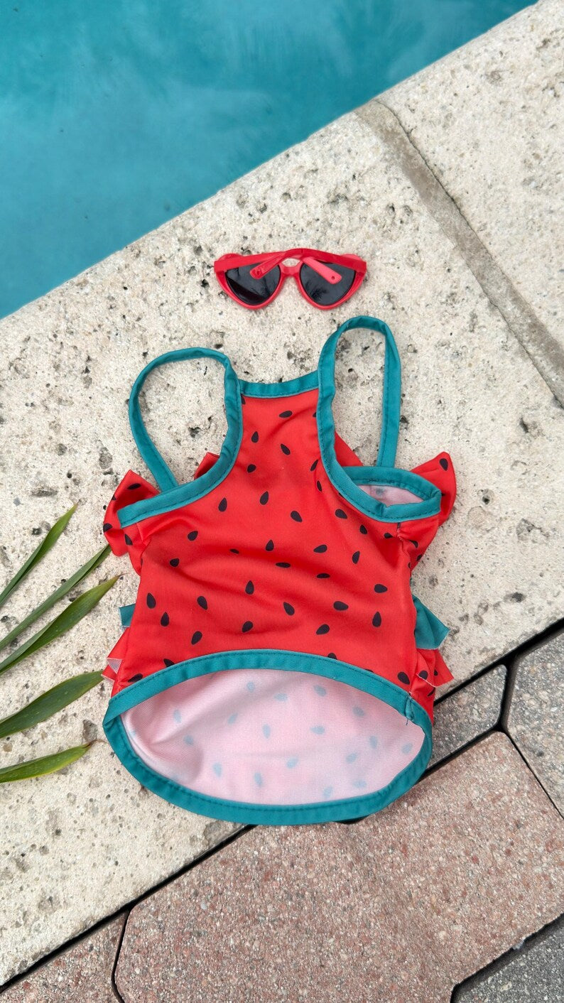 Watermelon Dog Swimsuit Dress with Sunglasses: Summer Pool Party Outfit