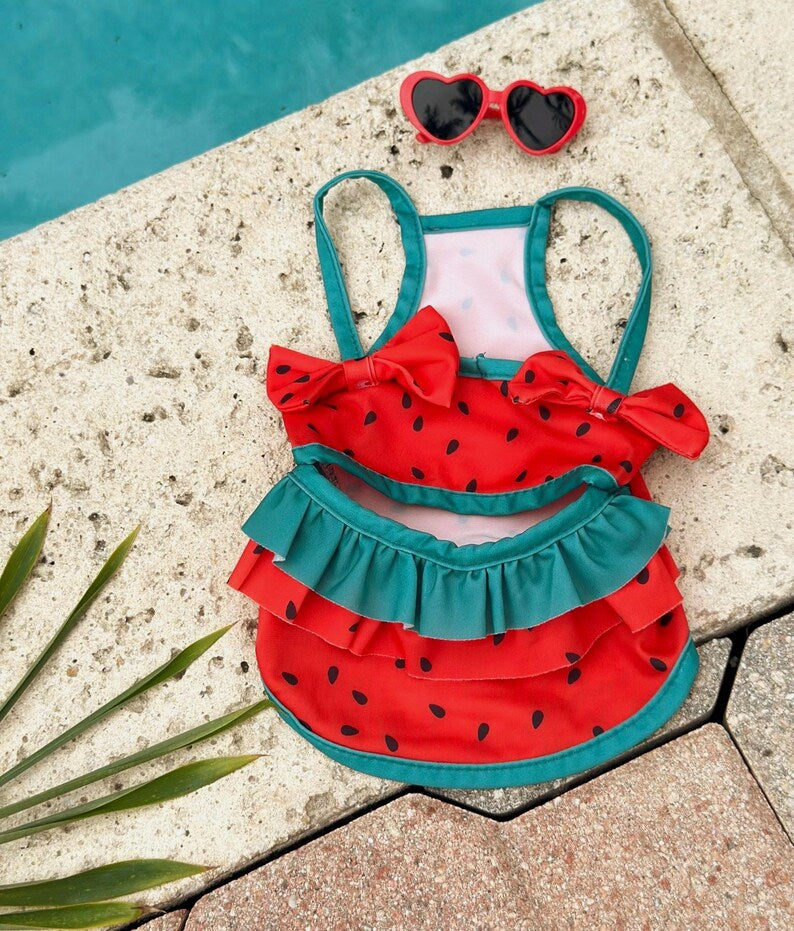 Watermelon Dog Swimsuit Dress with Sunglasses: Summer Pool Party Outfit