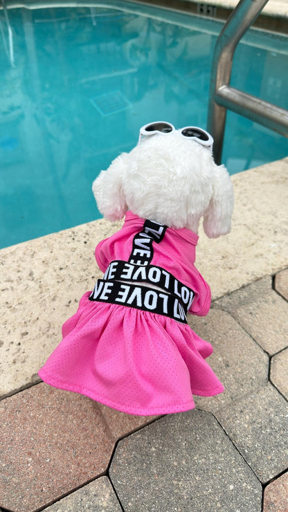 Pink Dog Dress & Heart Sunglasses Set: LOVE Print Summer Outfit